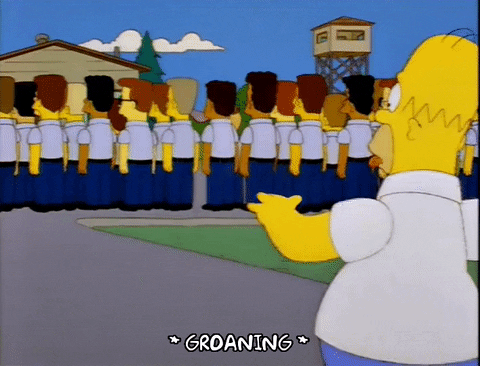 homer simpson episode 25 GIF