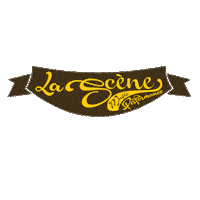lascenemusic circus circo juggler showman Sticker
