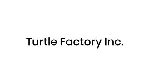 turtlefactoryinc giphyupload turtle turtlefactoryinc turtlefactory GIF