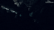 Lights Costumes GIF by guardian