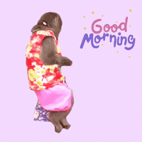 Good Morning Fun GIF