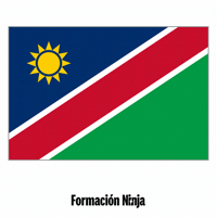 Flag Bandera GIF by Formación Ninja