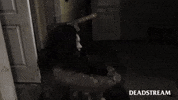 Hate Ugh GIF by Deadstream