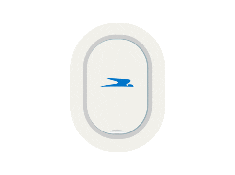ar flying Sticker by Aerolíneas Argentinas