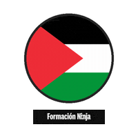 Flag Bandera Sticker by Formación Ninja
