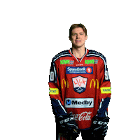 Lillehammerik Sticker by Lillehammer Ishockeyklubb