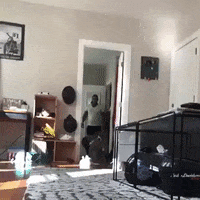 GIF by madmoiZelle