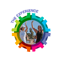 Gym Experience Sticker by elmetodo_m