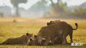Season 2 Hug GIF by PBS