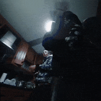 Timothee Chalamet Tchalamet GIF by Respective