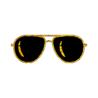 Sunglasses Sticker by KingfisherWorld