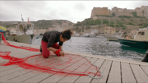 The Amazing Race Focus GIF by CBS