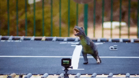 yairmau giphyupload GIF