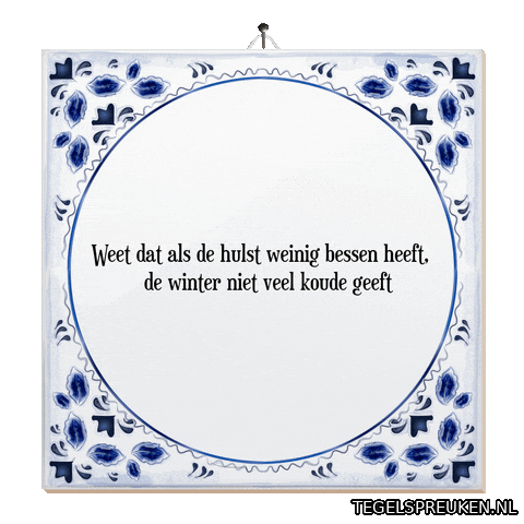 Winter Hoop Sticker by Tegelspreuken.nl