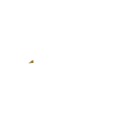 Horse Paw Sticker by Solo Photo Media