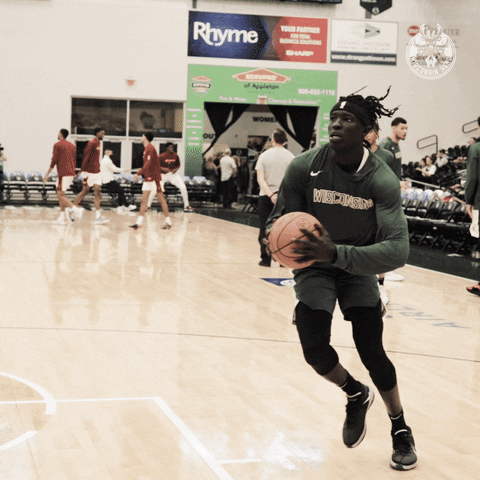 Milwaukee Bucks Sport GIF by Wisconsin Herd