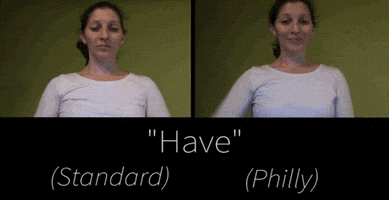 asl linguistics GIF by PRI