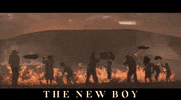 Burning Cate Blanchett GIF by Signature Entertainment