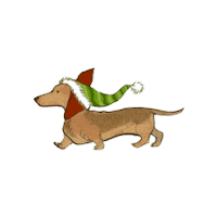 Santa Hat Dog Sticker by Pier 1