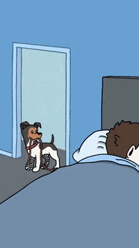 GIF by BuzzFeed