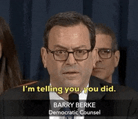 news impeachment inquiry steve castor barry berke GIF