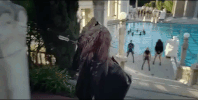 music video guy GIF by Lady Gaga