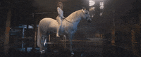 taylor swift ready for it GIF by Taylor Swift