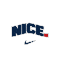 New England Patriots Sticker by US Nike Football