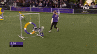 Bee Agility