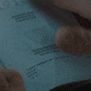 travel passport GIF by Sundance Now