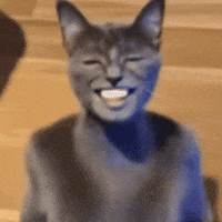 The Dog Ai GIF