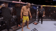 ufc sports sport ufc mma GIF