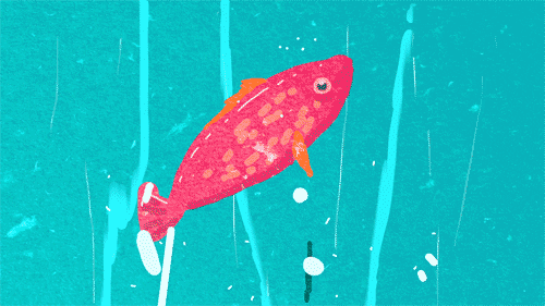 fish 2d animation GIF by Caleb Wood