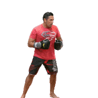 ufc mma Sticker by Maraboli Media