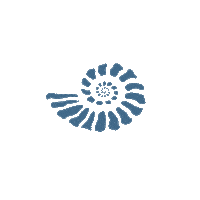 Beach Spin Sticker by St Michaels Resort