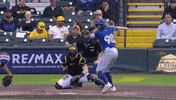 Home Run Baseball GIF by Toronto Blue Jays