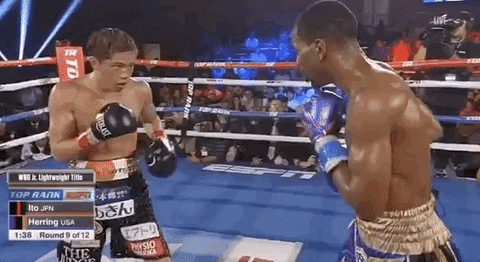 toprank giphyupload boxing fighting champion GIF