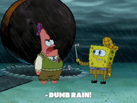 season 8 episode 3 GIF by SpongeBob SquarePants