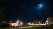 loop night GIF by A. L. Crego