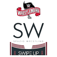 John Cena Sport Sticker by Spazio Wrestling