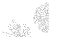 In The Loop Activewear Sticker by Loop Body