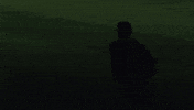 Blue Jays Baseball GIF by Toronto Blue Jays