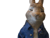 Wake Up What Sticker by Peter Rabbit Movie