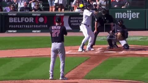 tesstass giphyupload GIF