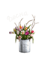 Spring Springtime Sticker