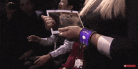 GIF by Mashable