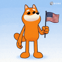 American Flag Surprise GIF by BONK