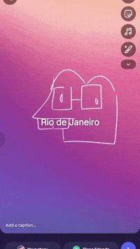 Instagram Frog GIF