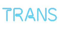 Trans Transperson Sticker by Seta
