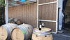 surprise barrel GIF by nakedwines.com